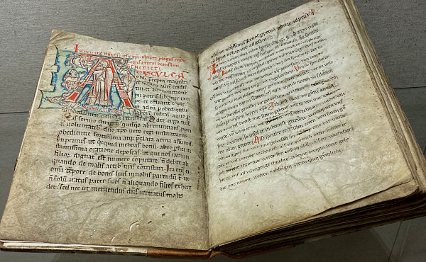 Buch der Benediktsregel, Bibliothek des Klosters Engelberg